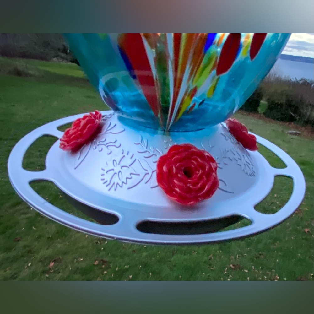 Glass Hummingbird Feeder 27oz Blown Glass Humming Bird - Roses & Ant Moat - Picture 6 of 13